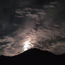 머루다래 이미지