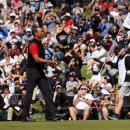 (주)퍼시픽투어 이미지