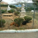 난정초등학교 이미지