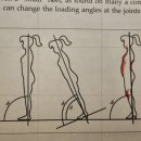 척추자세교정걷기테라피 이미지