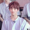 윈윈