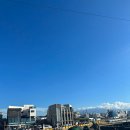 도리1길 이미지