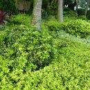 골드코스트 호텔 이미지