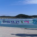 제주진도 이미지