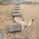 평산유치원 이미지