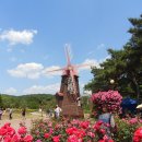 장미축제 이미지