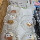 에코트리푸드 네이버블로그