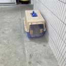 오마이퍼피 이미지