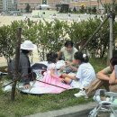 명촌초등학교 이미지