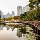 광교호수로-1 이미지