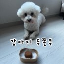 댕스윗