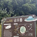 금오름 가는 길 | 제주도 “금오름, 풍차로가는길 카페”후기