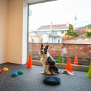 독클래스 이미지