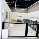 드봉펫살롱 이미지