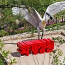 다을새길 이미지