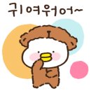 다둥이카센터 이미지