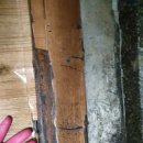 칠성세탁소 이미지