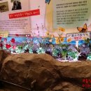 함평양서파충류생태공원 이미지