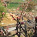 홍도어린이집 이미지