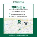도그캐슬 | 가족 중 한 명만 애견호텔에 반대할 때 설득 방법, 남양주애견호텔 도그캐슬