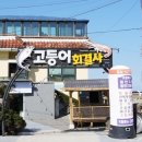 고등어회결사