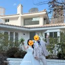위위 | 웨딩촬영 후기) 위위아뜰리에/ 이브로제하우스