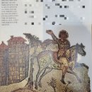 로마의 위기 전염병