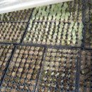 광영농장 이미지