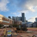 한샘초등학교 이미지