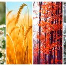 사암명가한의원 이미지