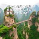 장가계 패키지 예약 전 필독: 노쇼핑 노옵션 ‘72기루·유리잔도’ 포함 플랜 대공개