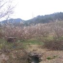 당곡농장 이미지