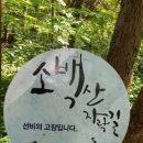 소백산약국 이미지