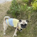 함양산삼골휴게소(대구방향) 이미지