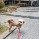 오쉬오트 티스토리