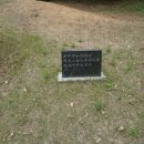 논산옆골 Daum카페