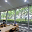 100% 순메밀의 진수, SBS 생방송 투데이 출연한 '꿈꾸는 메밀 용산점' 솔직 후기