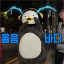 상상피트니스 이미지