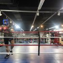 원투복싱클럽 이미지