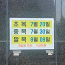 백제계삼탕 - 김해시 | 백제계삼탕