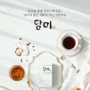 담미 이미지