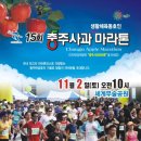 충주피디코리아