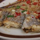 백천선어마을 이미지