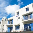 티라시아 이미지