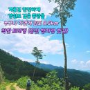 (2차) 2026.01.17.토 [쉬운길] 홍천 걷기 좋은 착한 트레킹＜행치령 옛길＞, 산책같은 천년고찰＜수타사 산소길＞ 이미지