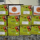 금주농장 이미지