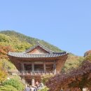 죽령옛길 민박 | [영주][당일여행][가을 단풍여행]부석사/죽령옛길/무섬마을 후기