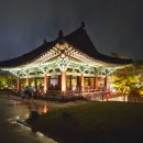 밤에 더 아름다운 경주 여행지 "동궁과 월지" 야경 후기