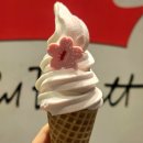 폴바셋 체리블라썸 아이스크림 후기🌸