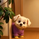 보노보 | 25년 3월_보노보노처럼살곺파